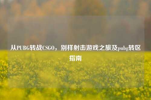 从PUBG转战CSGO,别样射击游戏之旅及pubg转区指南