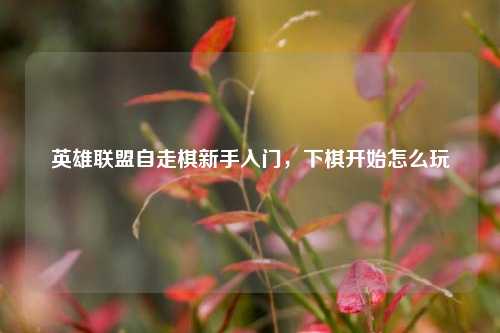 英雄联盟自走棋新手入门，下棋开始怎么玩