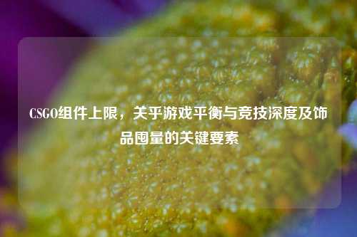 CSGO组件上限,关乎游戏平衡与竞技深度及饰品囤量的关键要素
