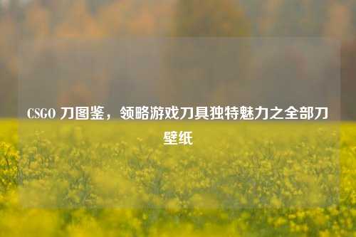 CSGO 刀图鉴,领略游戏刀具独特魅力之全部刀壁纸