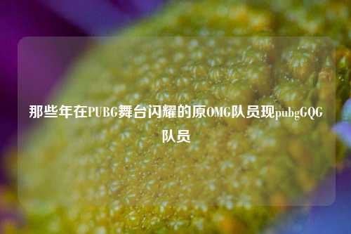 那些年在PUBG舞台闪耀的原OMG队员现pubgGQG队员