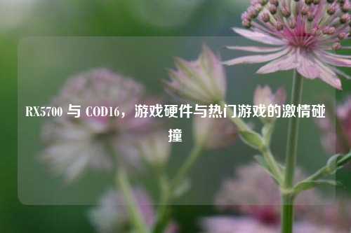 RX5700 与 COD16,游戏硬件与热门游戏的激情碰撞