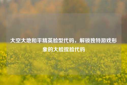 大空大地和平精英脸型代码,解锁独特游戏形象的大脸捏脸代码