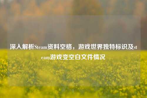 深入解析Steam资料空格,游戏世界独特标识及steam游戏变空白文件情况