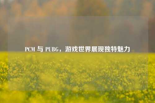 PCM 与 PUBG,游戏世界展现独特魅力