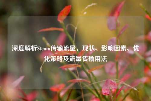 深度解析Steam传输流量,现状、影响因素、优化策略及流量传输用法