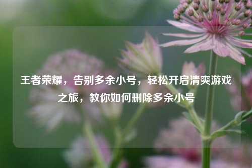 王者荣耀,告别多余小号,轻松开启清爽游戏之旅,教你如何删除多余小号