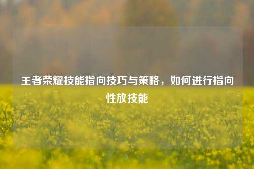王者荣耀技能指向技巧与策略，如何进行指向性放技能