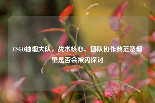 CSGO抽烟大队，战术核心、团队协作典范及烟里是否会被闪探讨