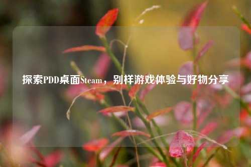 探索PDD桌面Steam，别样游戏体验与好物分享