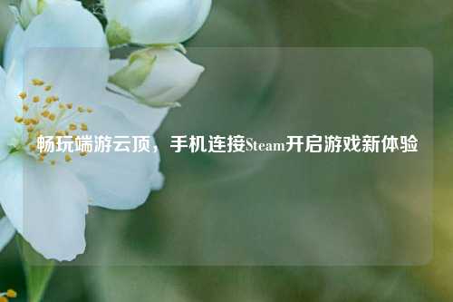 畅玩端游云顶，手机连接Steam开启游戏新体验