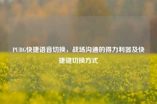 PUBG快捷语音切换,战场沟通的得力利器及快捷键切换方式
