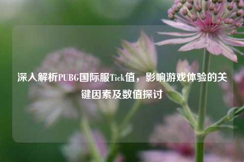 深入解析PUBG国际服Tick值，影响游戏体验的关键因素及数值探讨