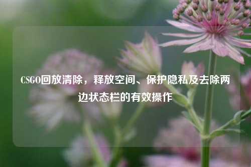 CSGO回放清除,释放空间、保护隐私及去除两边状态栏的有效操作