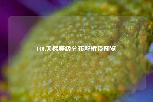 LOL天梯等级分布解析及图览