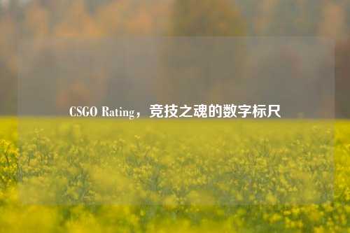 CSGO Rating,竞技之魂的数字标尺
