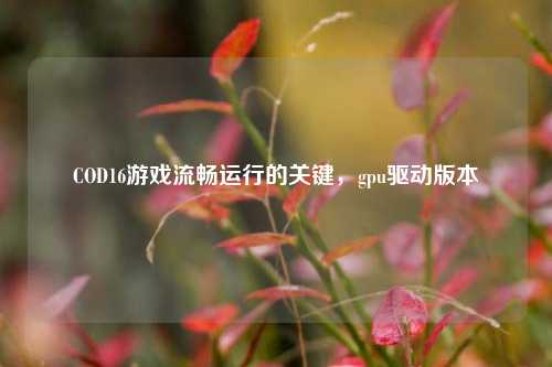COD16游戏流畅运行的关键,gpu驱动版本