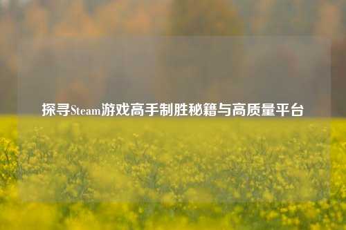 探寻Steam游戏高手制胜秘籍与高质量平台