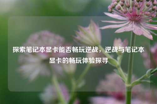 探索笔记本显卡能否畅玩逆战,逆战与笔记本显卡的畅玩体验探寻