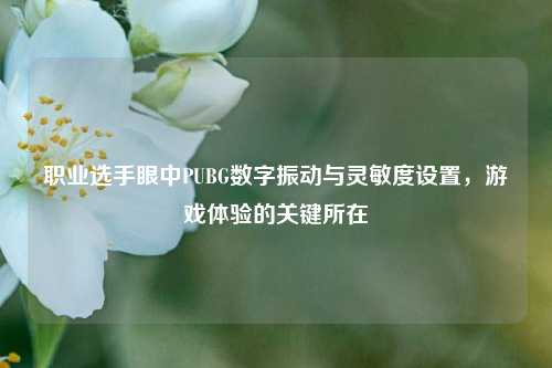 职业选手眼中PUBG数字振动与灵敏度设置,游戏体验的关键所在