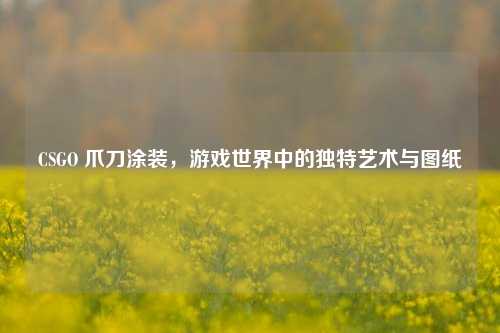 CSGO 爪刀涂装,游戏世界中的独特艺术与图纸