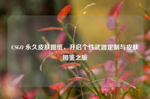 CSGO 永久皮肤图纸,开启个性武器定制与皮肤图鉴之旅