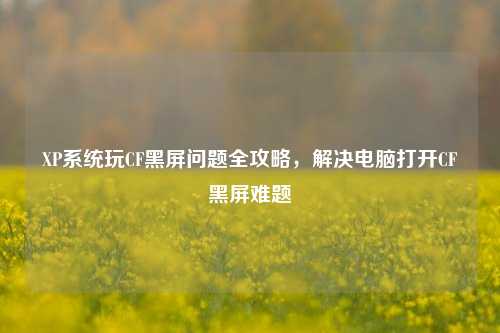 XP系统玩CF黑屏问题全攻略,解决电脑打开CF黑屏难题