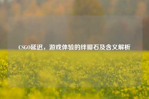 CSGO延迟,游戏体验的绊脚石及含义解析