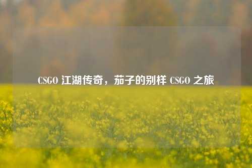 CSGO 江湖传奇,茄子的别样 CSGO 之旅