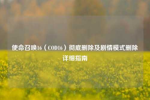 使命召唤16(COD16)彻底删除及剧情模式删除详细指南