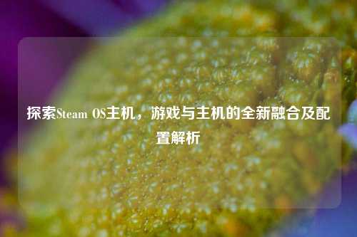 探索Steam OS主机,游戏与主机的全新融合及配置解析