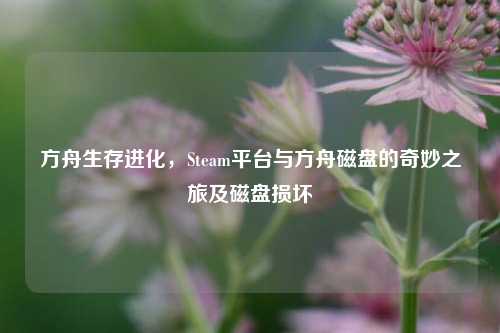 方舟生存进化，Steam平台与方舟磁盘的奇妙之旅及磁盘损坏