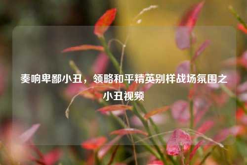 奏响卑鄙小丑,领略和平精英别样战场氛围之小丑视频