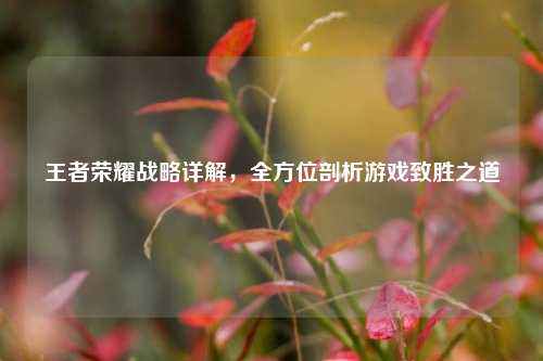王者荣耀战略详解，全方位剖析游戏致胜之道