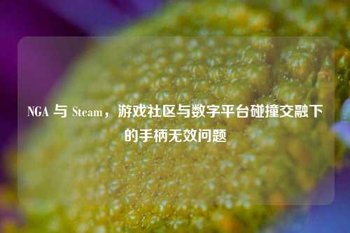 NGA 与 Steam，游戏社区与数字平台碰撞交融下的手柄无效问题