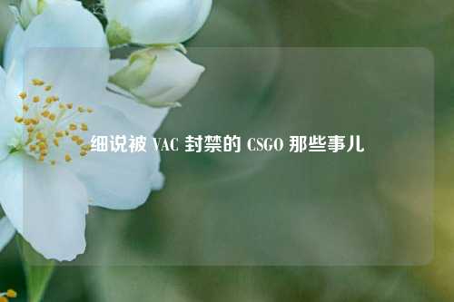 细说被 VAC 封禁的 CSGO 那些事儿