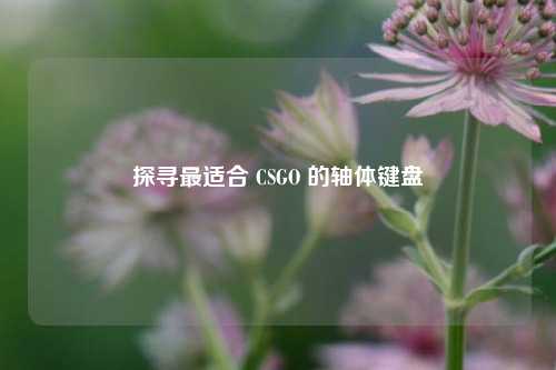 探寻最适合 CSGO 的轴体键盘