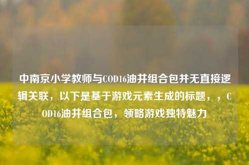 中南京小学教师与COD16油井组合包并无直接逻辑关联,以下是基于游戏元素生成的标题,,COD16油井组合包,领略游戏独特魅力