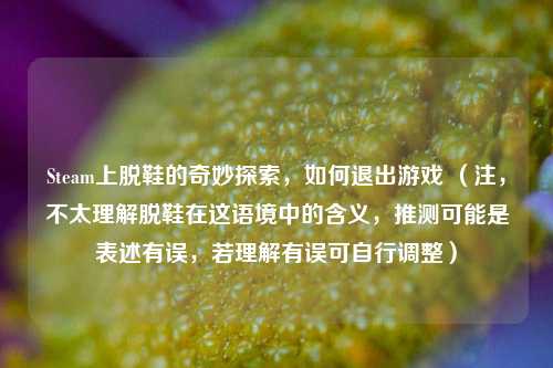Steam上脱鞋的奇妙探索，如何退出游戏 （注，不太理解脱鞋在这语境中的含义，推测可能是表述有误，若理解有误可自行调整）