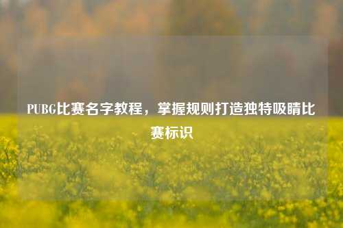 PUBG比赛名字教程,掌握规则打造独特吸睛比赛标识