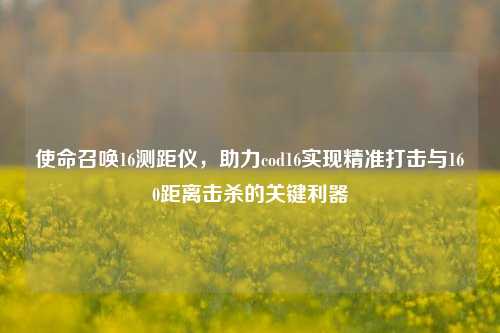 使命召唤16测距仪,助力cod16实现精准打击与160距离击杀的关键利器