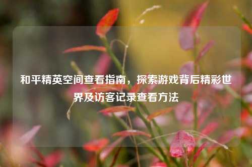 和平精英空间查看指南，探索游戏背后精彩世界及访客记录查看方法