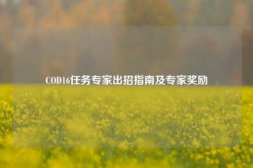 COD16任务专家出招指南及专家奖励
