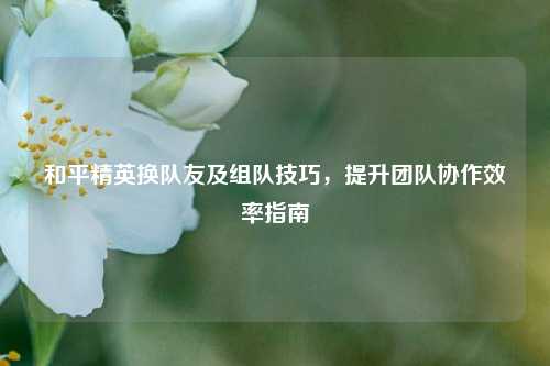 和平精英换队友及组队技巧,提升团队协作效率指南