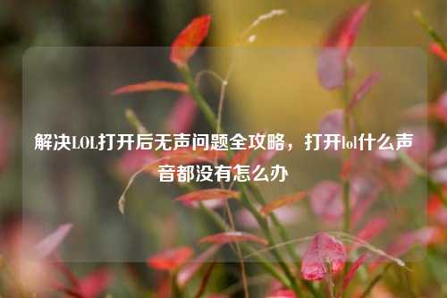解决LOL打开后无声问题全攻略,打开lol什么声音都没有怎么办