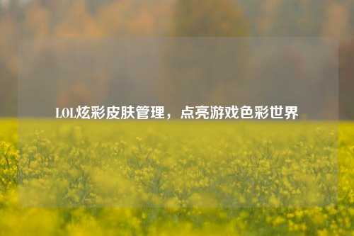 LOL炫彩皮肤管理,点亮游戏色彩世界