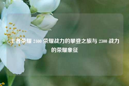 王者荣耀 2400 荣耀战力的攀登之旅与 2300 战力的荣耀象征