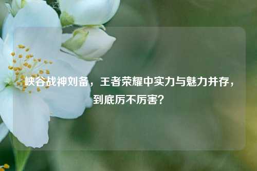 峡谷战神刘备,王者荣耀中实力与魅力并存,到底厉不厉害?