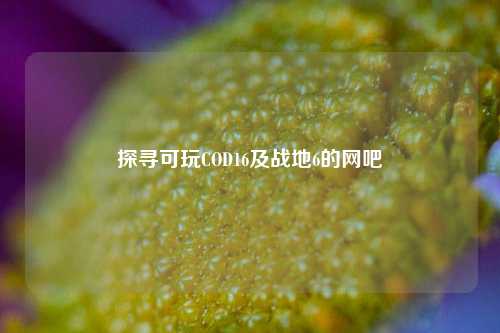探寻可玩COD16及战地6的网吧