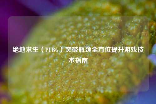 绝地求生(PUBG)突破瓶颈全方位提升游戏技术指南